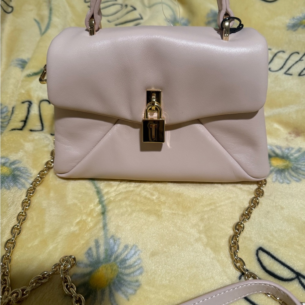Ted Baker Blush Crossbody Bag with Gold Accents. Mini poppy Ted baker bag